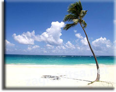 Рай под пальмой или поездка за доминиканским домом  