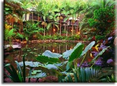 Самый экологичный отель: Daintree Eco Lodge & Spa