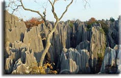 “Каменный лес” в провинции Юньнань